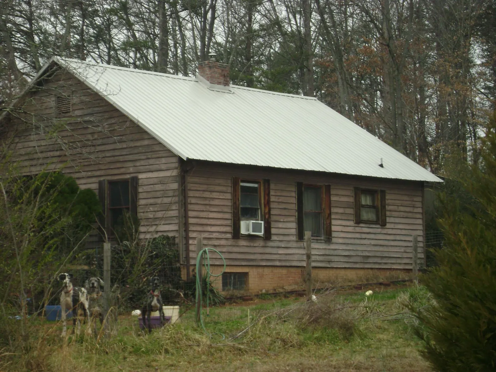 White metal roof on an old wood sided farmhouse, from a Asphalt Shingle Roof Repair job in Milano